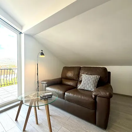 아파트 1-bedroom With Mountain View And Free Parking 포드고리차